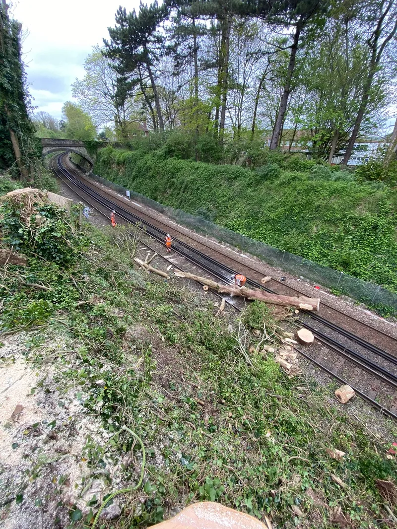 Emergency tree works across Surrey, Kent & South London - Faggs Forestry emergency tree surgeon response