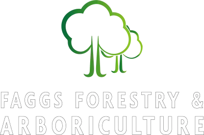 Faggs Forestry and Arboriculture - Tree Surgeons Surrey Kent South London