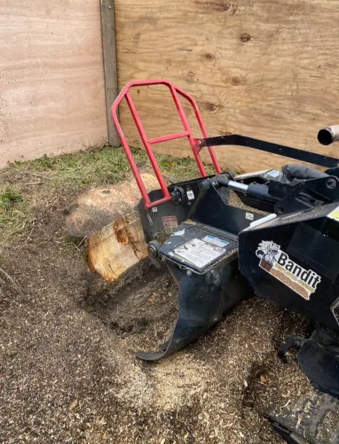 Stump grinding across Surrey, Kent & South London - Faggs Forestry professional stump removal service